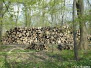 Holzstabel am Wegesrand