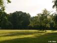 Morgenstimmung im Friedenspark