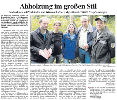 Abholzung im großen Stil