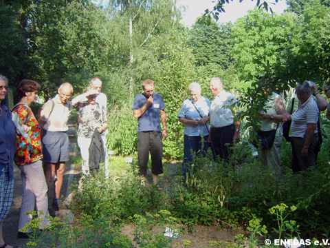 Führung im Apothekergarten