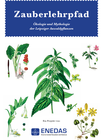 Buch - Zauberlehrpfad